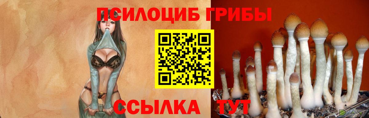 Алексеевка  Канабис  Вход с VPN  Кокаин  ГАШИШ  Мефедрон   ГАШИШ  Метамфетамин 